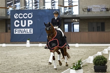 Ecco Cup Finaler Dressurakademiet 