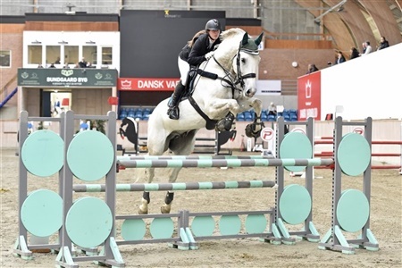 C-stævne springning Århusmesterskab hest