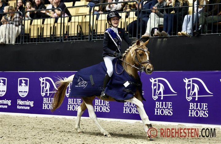 Nord-Vest Box Cup-vinderne er fundet