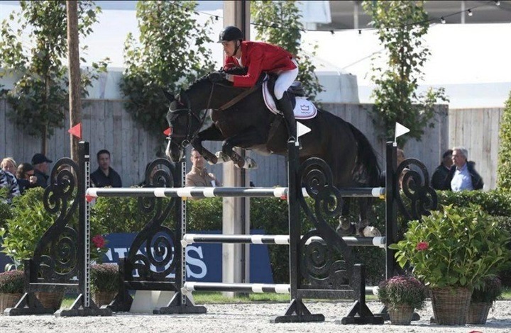 Avlshoppe solgt til USA p&aring; en halv time