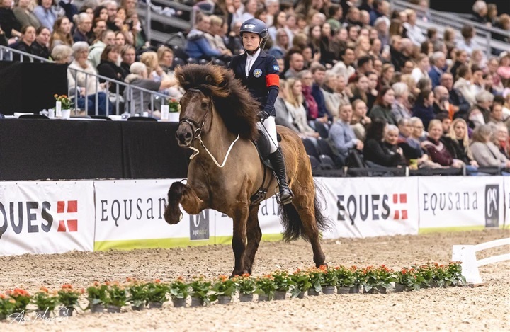 En hestefest i verdensklasse er ovre