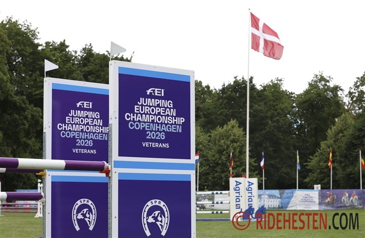 Et vellykket EM p&aring; dansk grund