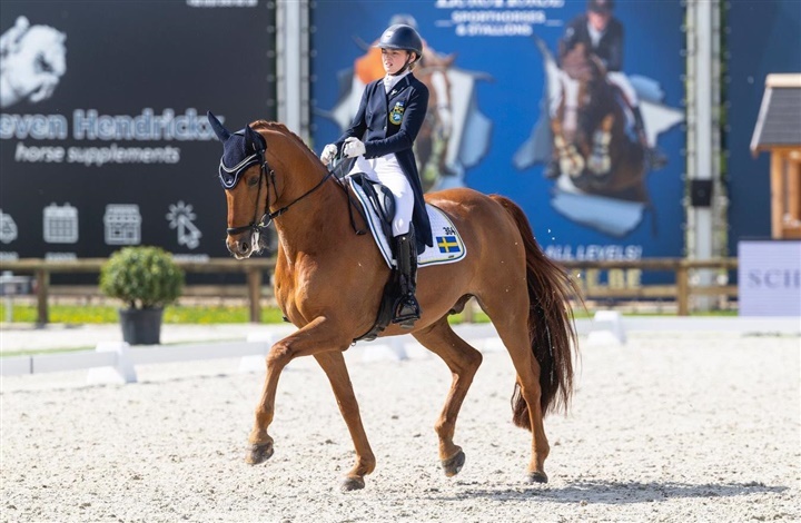DV-hest har succes med svensk ungrytter