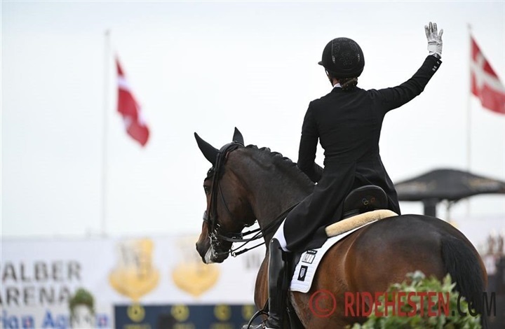 Fokus p&aring; VM og talenter i dressuren