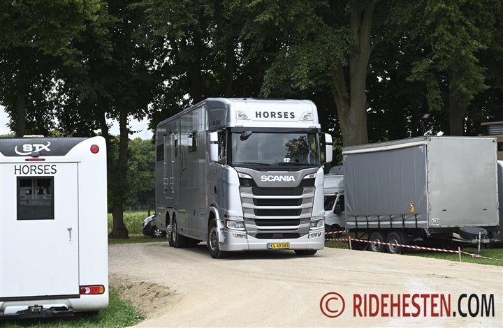 Transportklar hest – uden hestepas