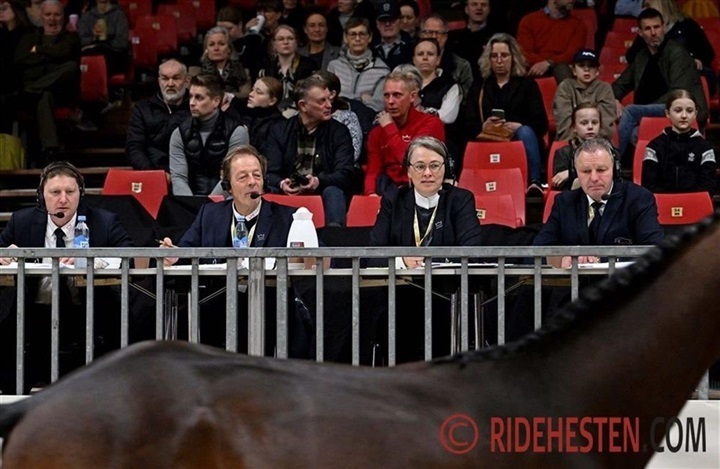 Kasketterne i ridesportens skoleg&aring;rd?