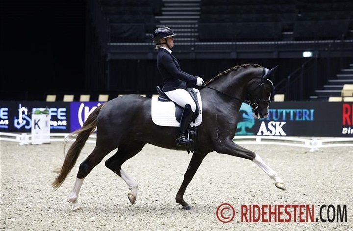 – Jeg har tid til hver eneste hest