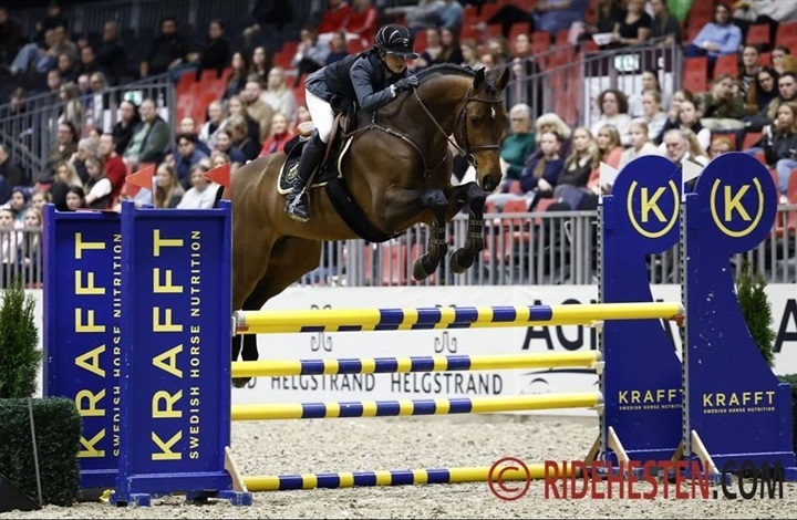 5-&aring;rs DV-hingst sprang sig til sejr