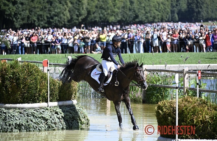 Nyt set-up skal styrke dansk military