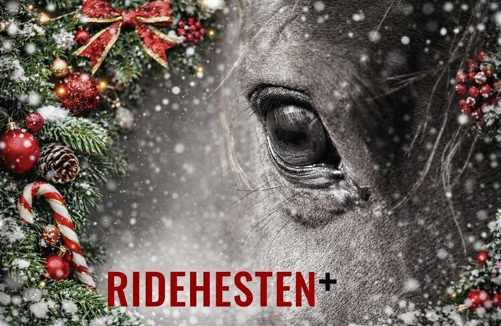 Giv Ridehesten PLUS i julegave
