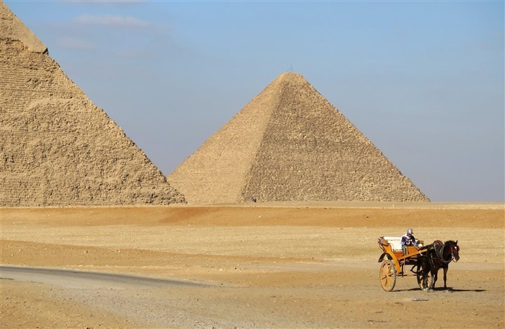 LGCT vil hj&aelig;lpe heste i Giza