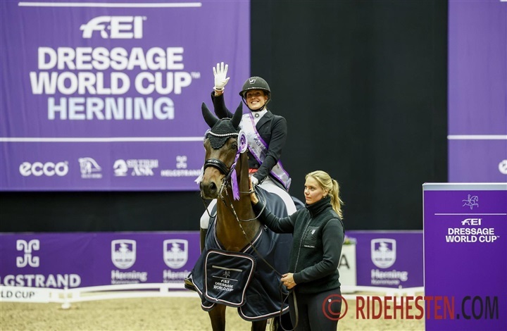 Dressurfelt i absolut s&aelig;rklasse