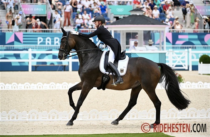 TSF Dalera BB er blevet mor