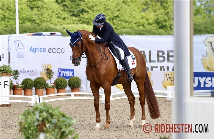 – Han er bare en Qaiser