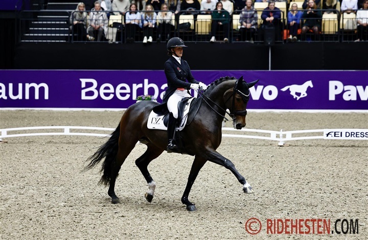 Internationale starter - uge 51