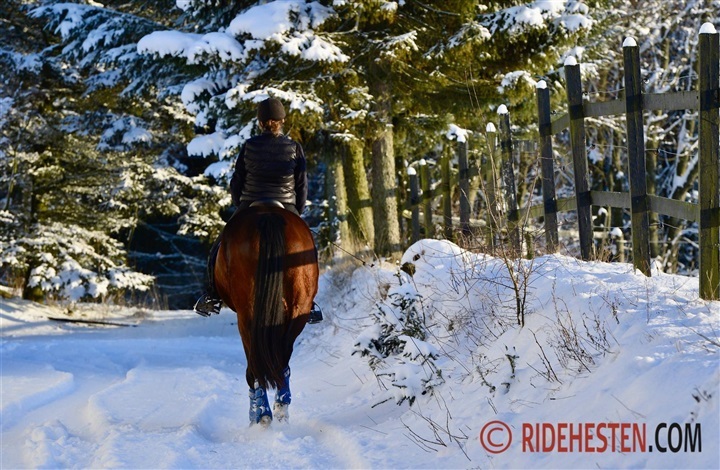 Er du klar p&aring; en ridetur i sneen?