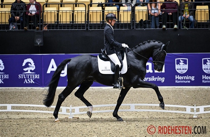 Alexander og Furious suver&aelig;ne i 4-&aring;rs championat