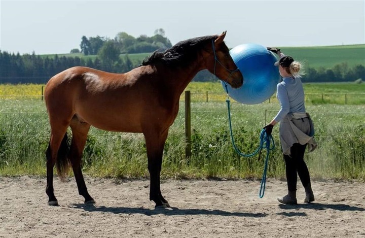 – Han s&oslash;ger altid at g&oslash;re det rigtige