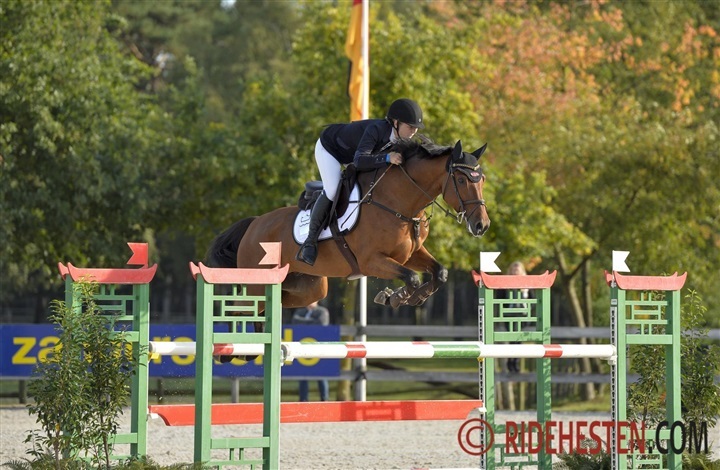 Engerupgaards Cezanne topplaceret i USA