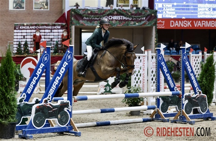 Nye krav til rytterkategori