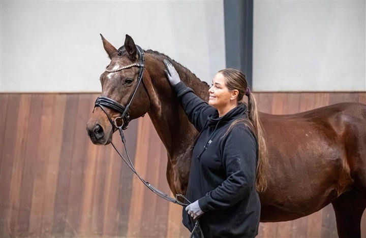 Guld til Atterupgaards Dictes afkomssamling