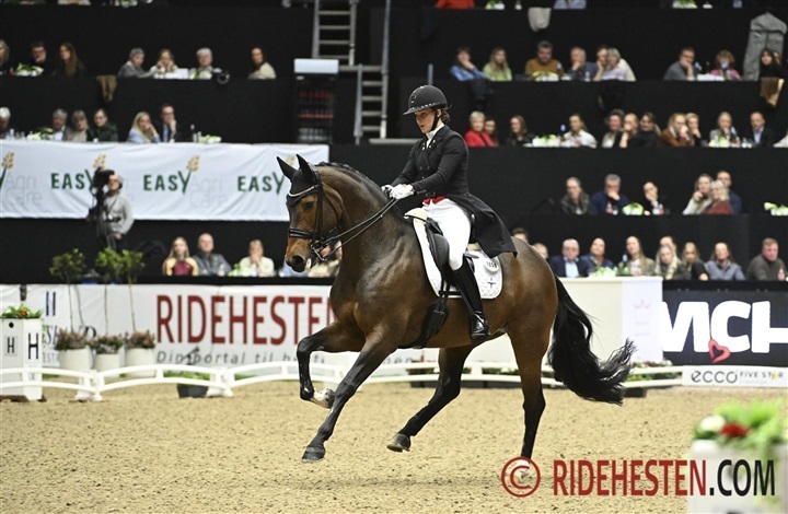 Dressurfelt i absolut s&aelig;rklasse