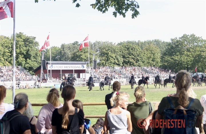 Store Hestedag udvider