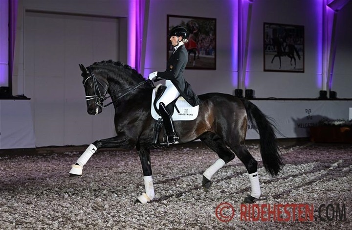 So Perfect vinder ungheste-GP i USA