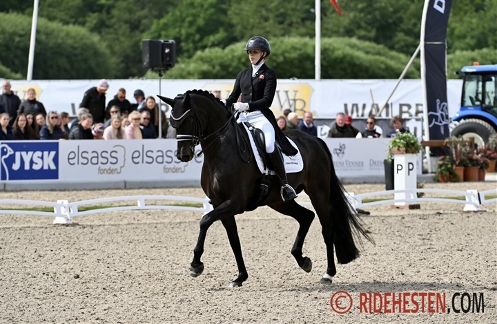 Internationale starter - uge 15