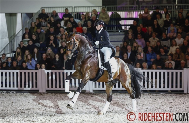 Unge hingste og st&aelig;rke profiler hos Helgstrand Dressage