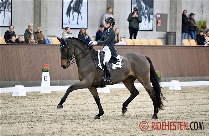 St&aelig;rk start p&aring; Ecco Cup i Sundeved