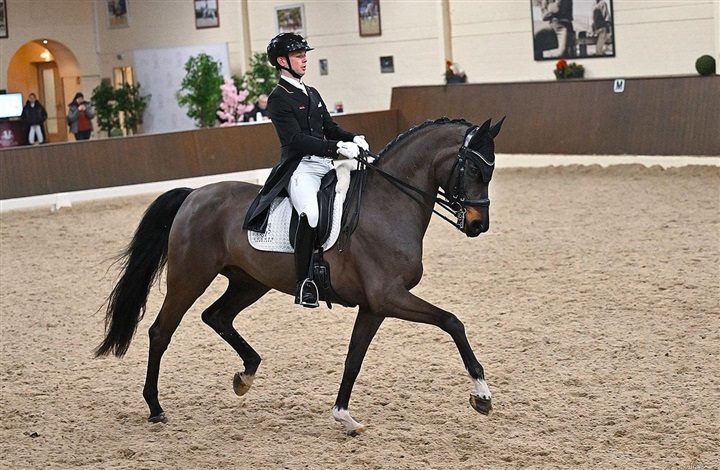 Raphael Netz og NorCordias Sola Diva i GP-debut