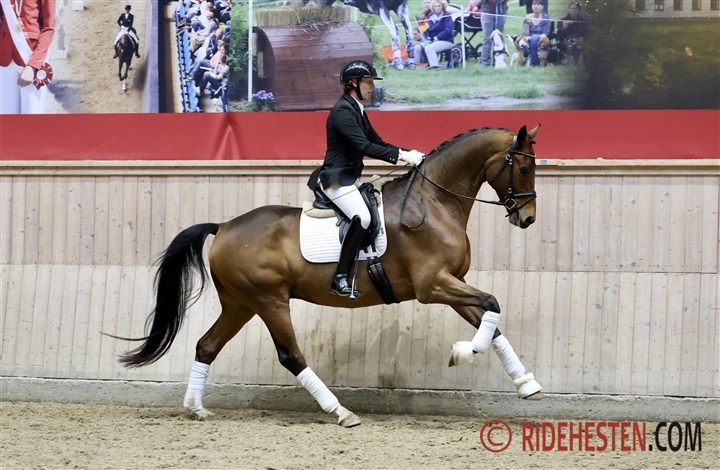 Thomas og Sisto i historisk julest&aelig;vnedebut