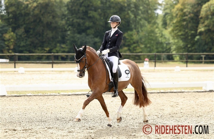 Ponyrytterne sikrede topplaceringer i Belgien