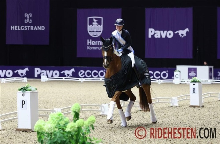 Dizzy tog sig af finalesejren (video)