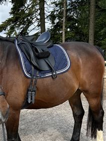 Meget velholdt og flot dressur sadel