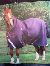Premier Equine Hardy