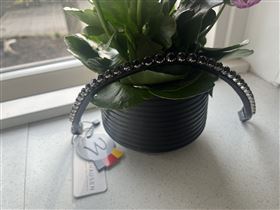 Pandebånd  
