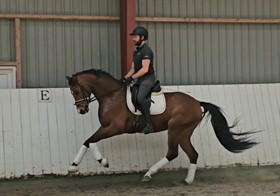 DIAMO "C"