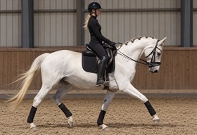 SILVER'S TOUCH OF CLASS