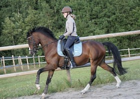 Beukenhof’s Giovanni