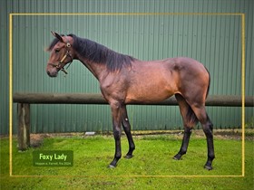 FOXY LADY S.A.H.