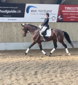 KORSGÅRDS KENZIE