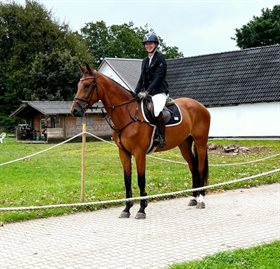 CIRKELINE