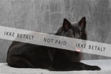 130054_le_ 01_0104.JPG