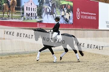 182241_kbb_01_Z093081.JPG