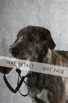 129608_le_ 02_0129.JPG