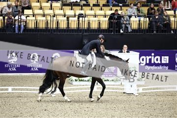 182194_avh_05_2383.JPG