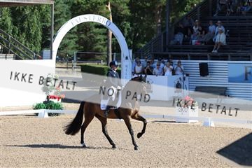 181726_mlm_01_R62_9013.JPG