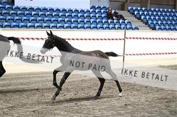 181754_kbb_01_Z092763.JPG